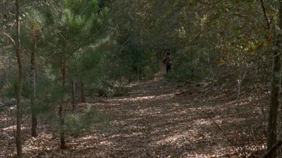 twd0516-2491.jpg