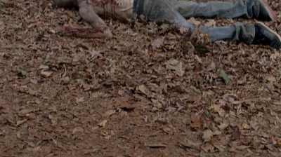 twd0516-2524.jpg