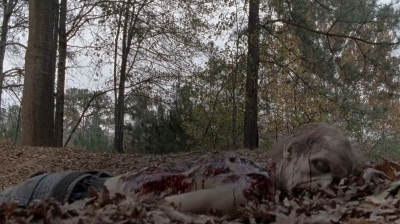 twd0516-2539.jpg