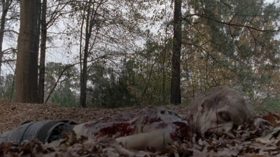 twd0516-2542.jpg