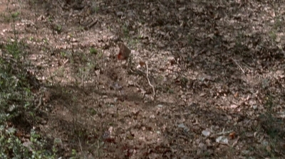 twd0516-2549.jpg