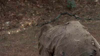 twd0516-3053.jpg
