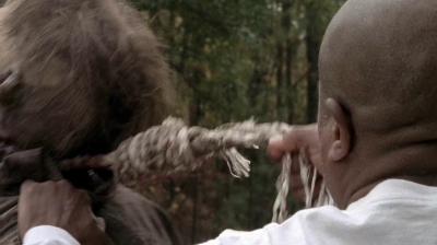 twd0516-3085.jpg