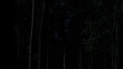 twd0516-4004.jpg