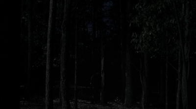 twd0516-4006.jpg