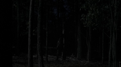 twd0516-4009.jpg