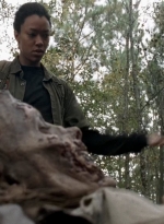 twd0516-1285.jpg
