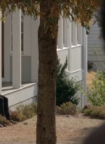 twd0516-1643.jpg