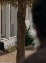 twd0516-1644.jpg