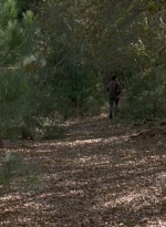 twd0516-2489.jpg