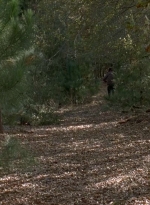 twd0516-2491.jpg