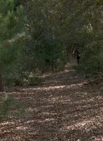 twd0516-2492.jpg