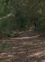 twd0516-2493.jpg