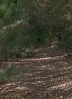 twd0516-2494.jpg