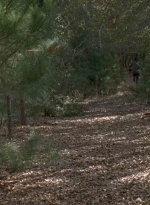 twd0516-2495.jpg