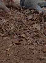 twd0516-2524.jpg