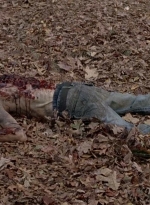 twd0516-2528.jpg