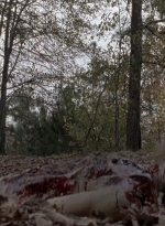 twd0516-2538.jpg