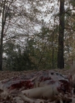 twd0516-2544.jpg