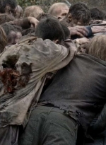 twd0516-2647.jpg