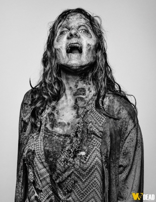 The Walking Dead 5ª Temporada
