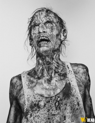 The Walking Dead 5ª Temporada
