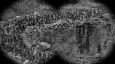 twd0601-1817.jpg