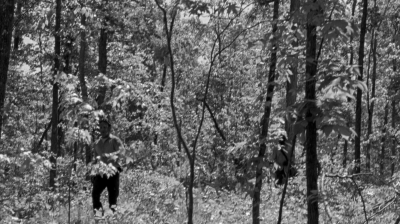 twd0601-1911.jpg