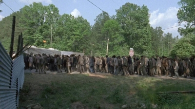 twd0601-2767.jpg