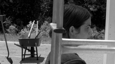 twd0601-2955.jpg
