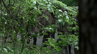 twd0601-4580.jpg