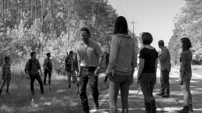 twd0601-4617.jpg