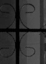 twd0601-0776.jpg