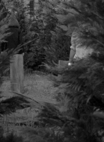 twd0601-1249.jpg