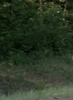 twd0601-1319.jpg