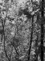 twd0601-1909.jpg