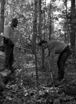 twd0601-1962.jpg