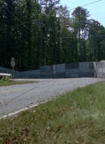 twd0601-2504.jpg