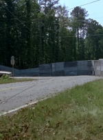 twd0601-2505.jpg
