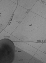 twd0601-2544.jpg