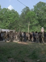 twd0601-2765.jpg
