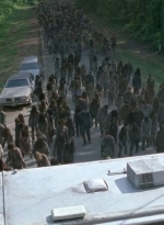 twd0601-2771.jpg