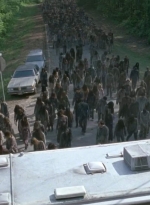twd0601-2772.jpg