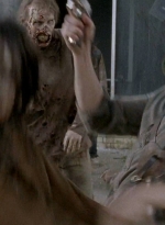 twd0601-3121.jpg