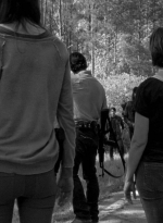 twd0601-4610.jpg