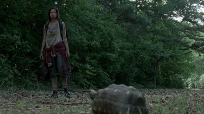 twd0602-0289.jpg