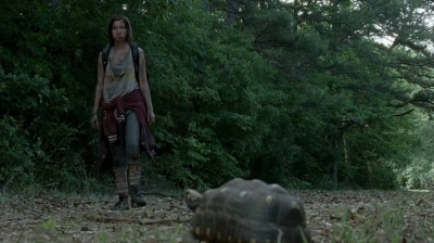 twd0602-0290.jpg