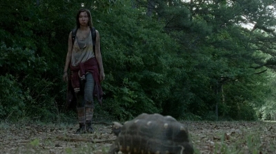 twd0602-0291.jpg