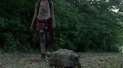 twd0602-0295.jpg