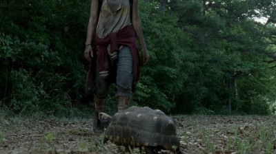 twd0602-0296.jpg